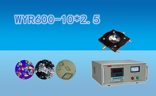 熔点仪加热台WYR600-10X2.5