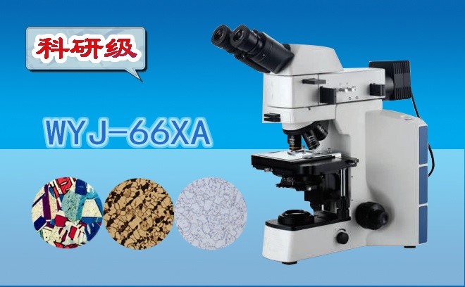 三目金相显微镜WYJ-66XA